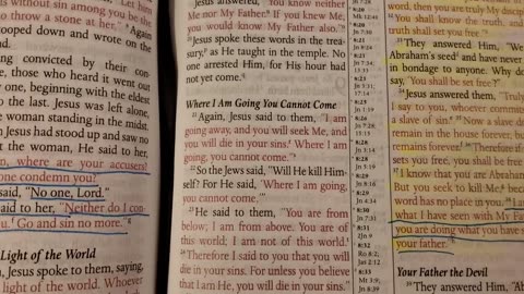 John 8- MEV Bible