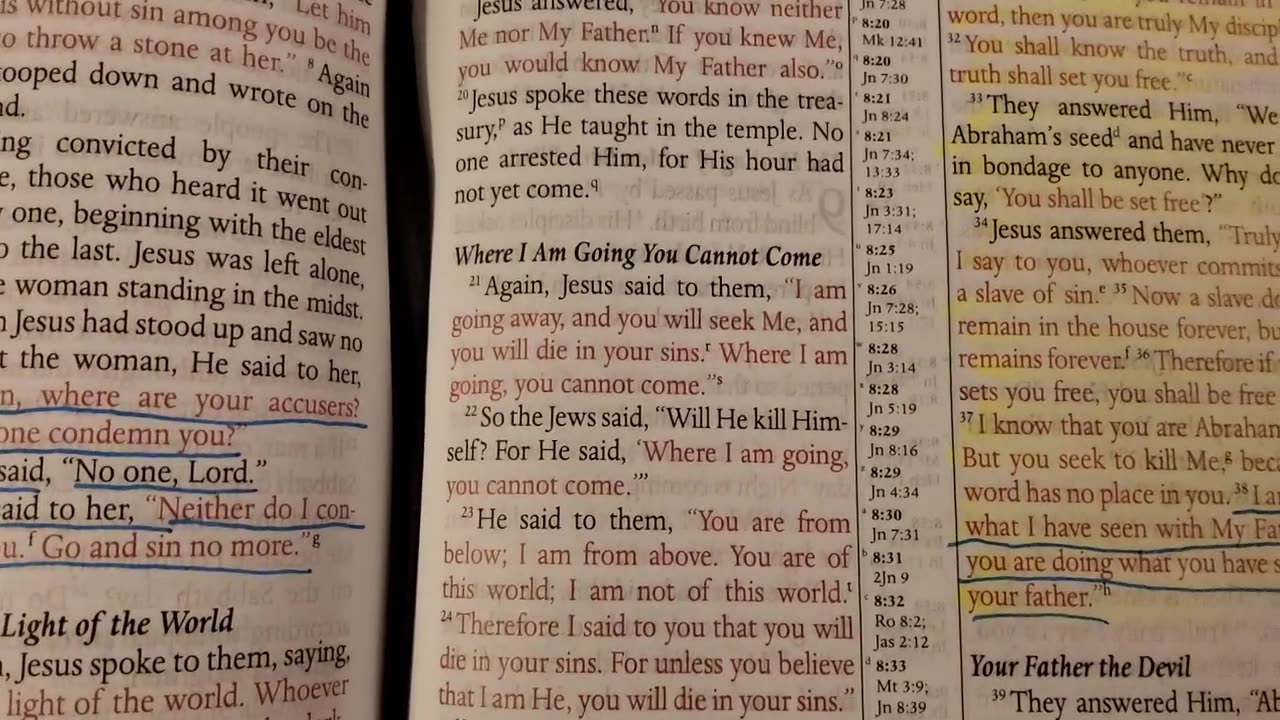 John 8- MEV Bible