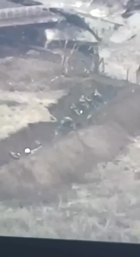 +18 Disturbing Video showing dead and wounded