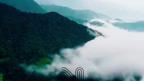 Fog-Covered Mountains: Nadukani Estate, Wayanad, Kerala, India 🌄
