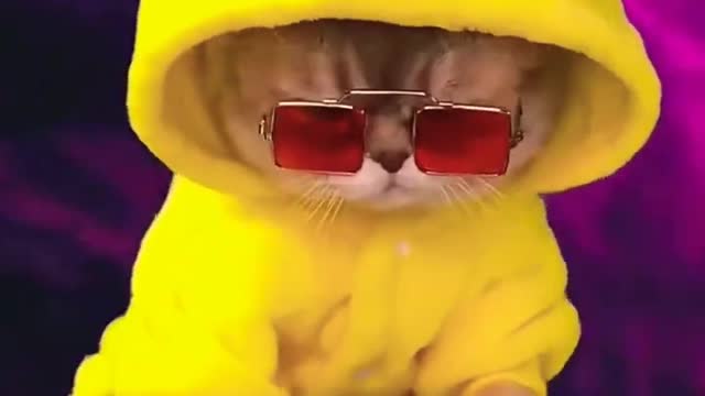 fupシ #fup😻 #dogs #dogsotiktok #foryou #cute #petdog #Alaska #fyp