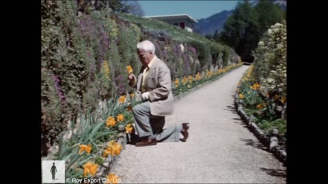 Spring in Switzerland - Footage from home | Charlie Chaplin World