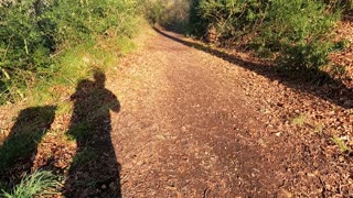 Very steep drop on my left. New forest hiking..feb July 2022