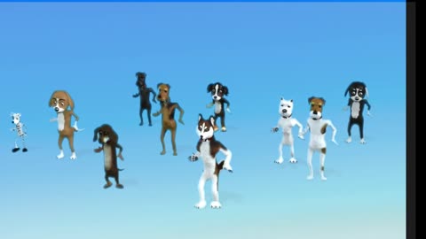 dancing dogs