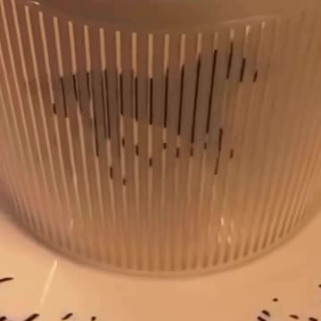 incredible animated pattern on porcelain / niewiarygodny animowany wzór na porcelanie