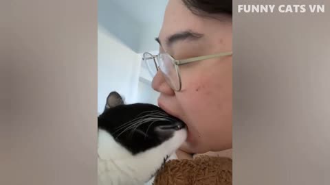 Best Funny Animal Videos 2022 - Funniest Cats And Dogs