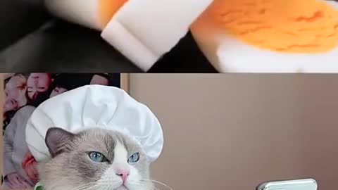 I will give you my heart ❤️