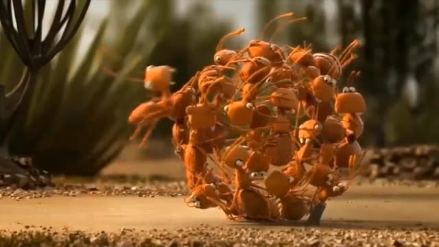 Unidos somos mais fortes