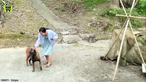 35 Hero Animals That Saved Human Lives !