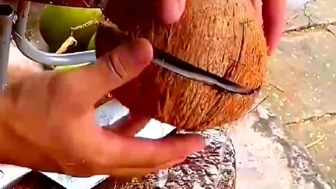 What’s a Coconut Gem? #TasteJourney #FoodieExploration #Shorts