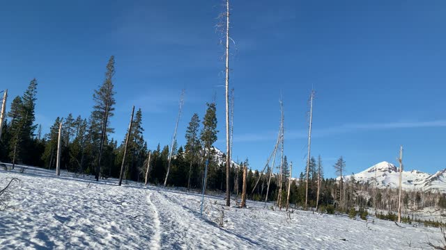 Tip: Trust the Trail Markers Over the Footprints – Central Oregon – 4K