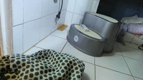 2023-03-01 (2) - Mugu à votre service - Twitch Triskelina