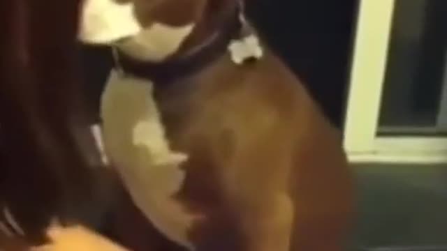 NO NO I WANT ππ€£ππΆπΆ