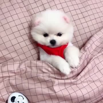 Sleep 🛌 ......good night 😘🌙