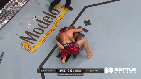 Alex Pereira vs Sean Strickland | FREE FIGHT | UFC 281