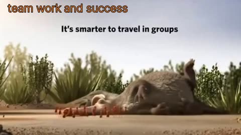 Team work and success