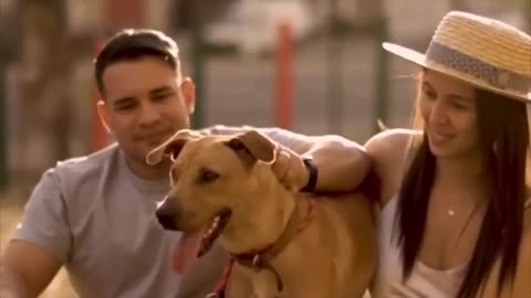 This stray dog crashed a wedding and got adopted ❤️ 4.4M views 9 days ago