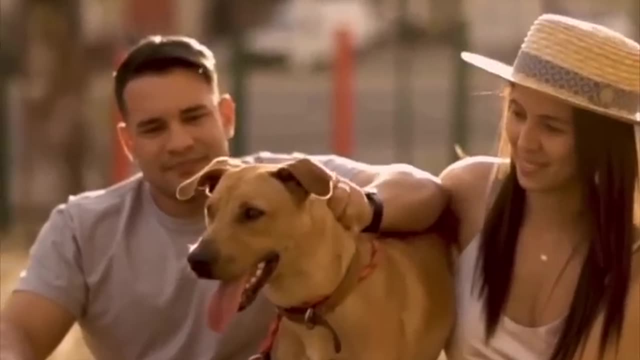 This stray dog crashed a wedding and got adopted ❤️ 4.4M views 9 days ago