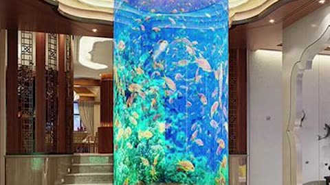 Just one sale. A $12,000 aquarium.