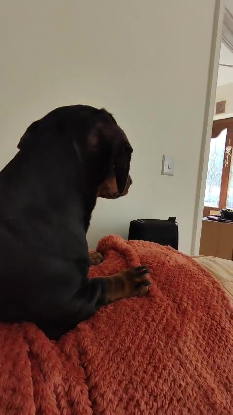 Sugden A21 Signature, PMCTB2+. MHDT Havana DAC