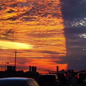 Florida Right Now... WTF?!