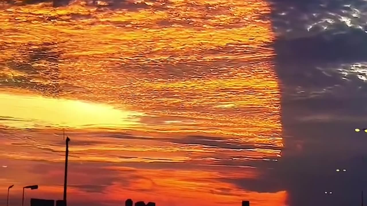 Florida Right Now... WTF?!