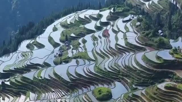 Beautiful terraces