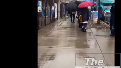 Perfectly Healthy New Yorkers Wait In Line In The Rain To Get Tested