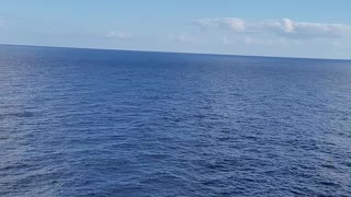 Carvinal Breeze