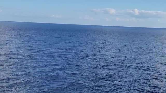 Carvinal Breeze