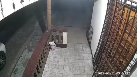 watch till end