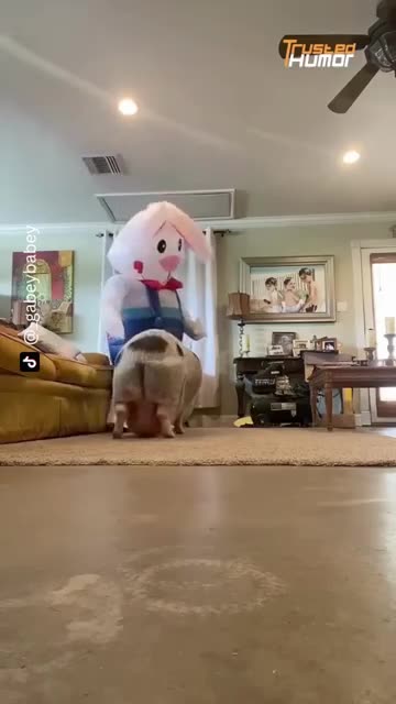 foreign Save yourself first 😂😂😂 #funny #viral #shorts #funnyvideos #trustedhumor