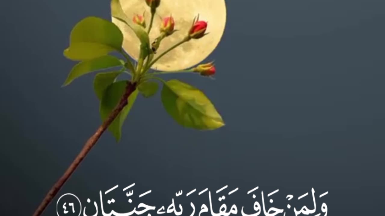 قرآن |سورة الرحمان |الآيات 46-47 Quran |surah Ar-Rahman |Quranic verse 46-47