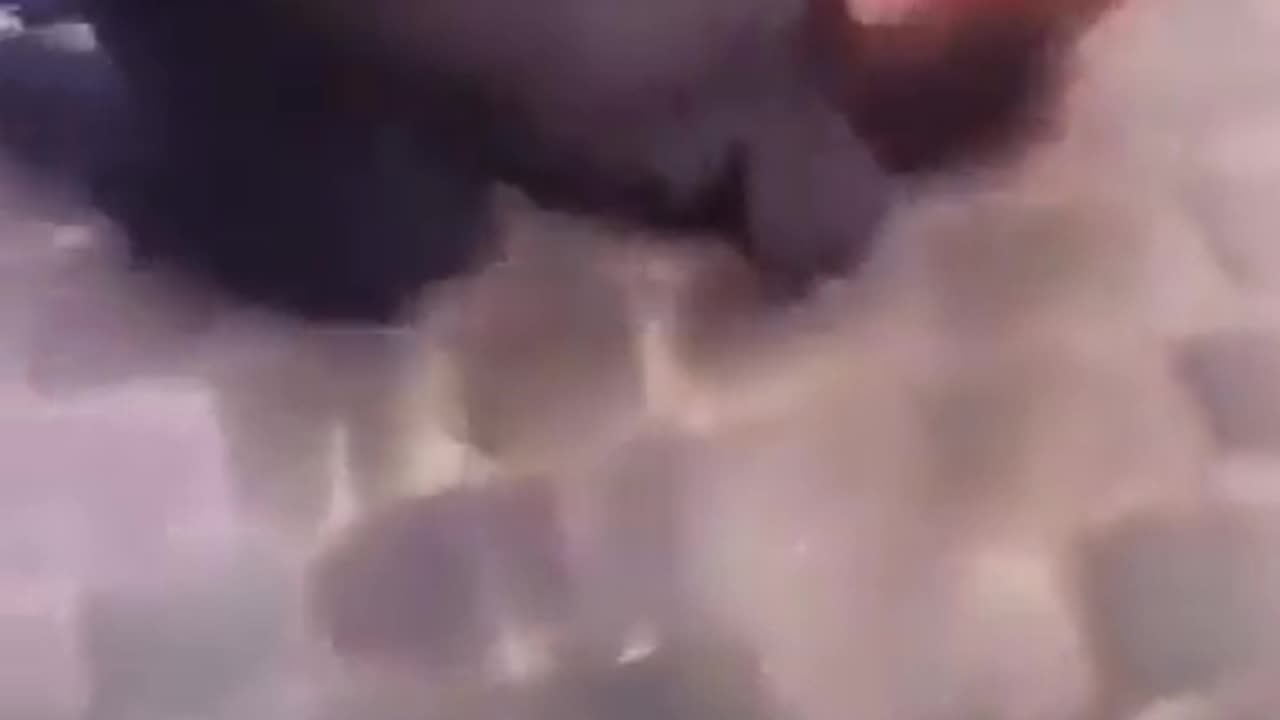 Frenchman Beat Up By Girl