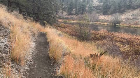 Central Oregon – Steelhead Falls – Orange Fall Colors by the River