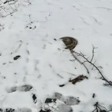 Russians Left Out in the Cold