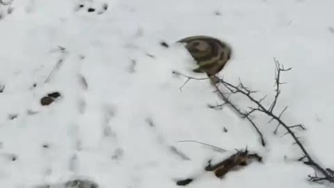 Russians Left Out in the Cold