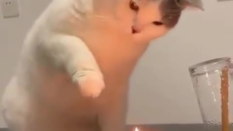 Fist time experience with candles