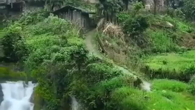 Our planet is awesome
