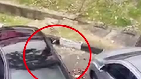 Driver in S'poreregistered Mercedes' caught littering in M'sia carpark, action irks netizens