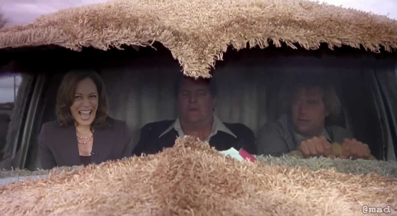 Kamala Harris In Dumb And Dumber Role