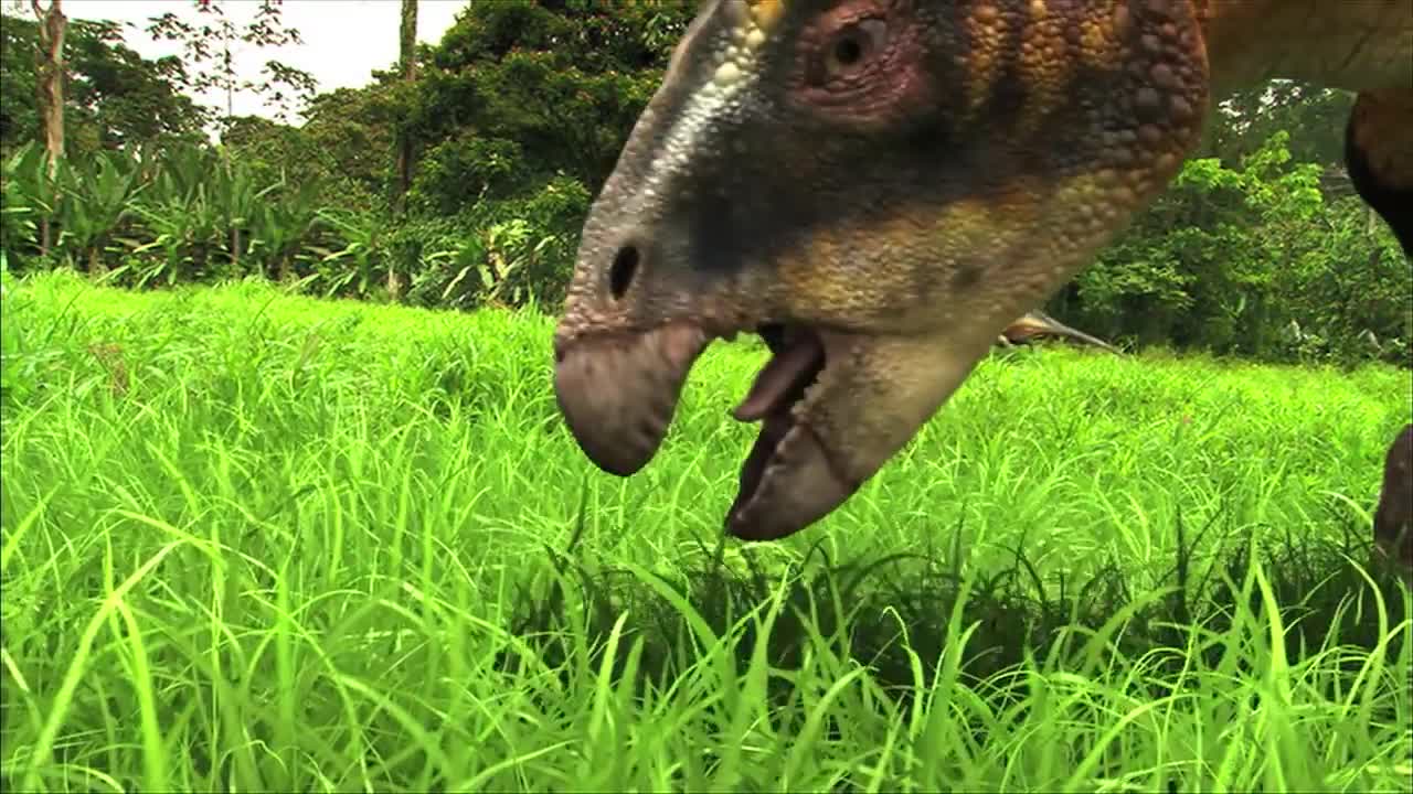 What Did Dinosaurs Eat