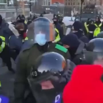 🔴[CANADA] THE NAZIS RAM THE CITIZEN. A WOMAN DIED IN HOSPITAL.