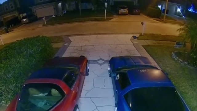 Brother Testing Toddler Bike Breaks and Flies Over Handlebars
