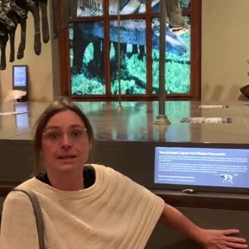 Climate actors gluing themselves to things in natural history museum