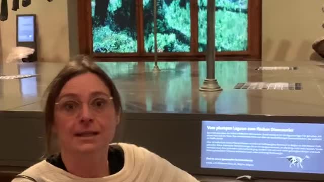 Climate actors gluing themselves to things in natural history museum