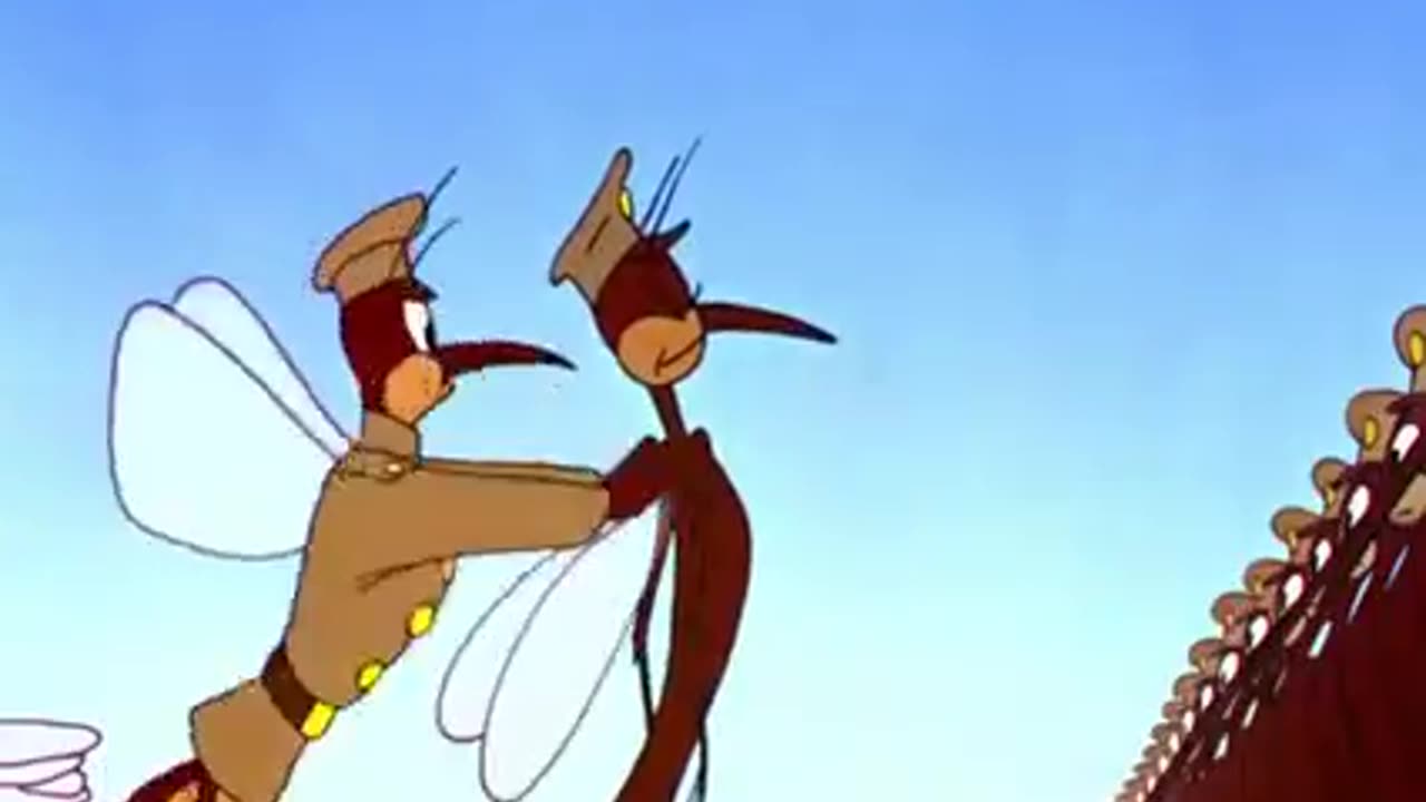 Wait and watch