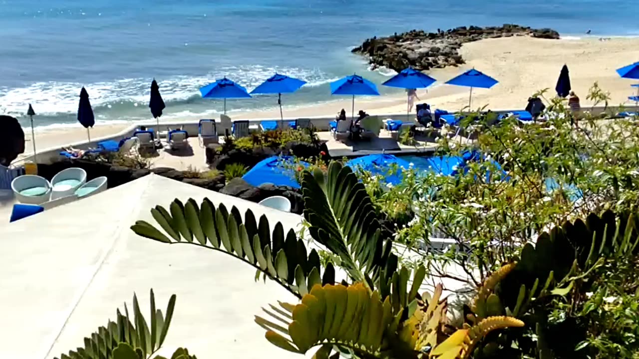 Empty Barbados 🇧🇧 resort became a zoo in the black truman show. #targeted #chosenone #video