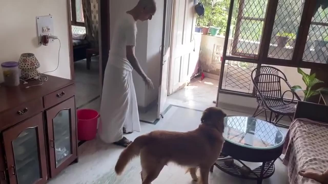 Old Man Playing with Pet Dog