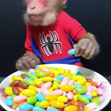 Cute Monkey Review Seven Color Chocolate Candy